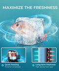 No Drama 3.0 Cu Ft Upright Mini Freezer With Single Door, Reversible Hinge, Black Compact Chill Zone with frozen fish.