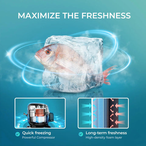 No Drama 3.0 Cu Ft Upright Mini Freezer With Single Door, Reversible Hinge, Black Compact Chill Zone with frozen fish.