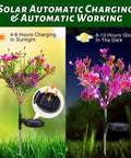 Outdoor Solar Flower Lights Set Phalaenopsis Orchid Solar Garden Lights Waterproof IP65 2 Pack For Patio Decor display