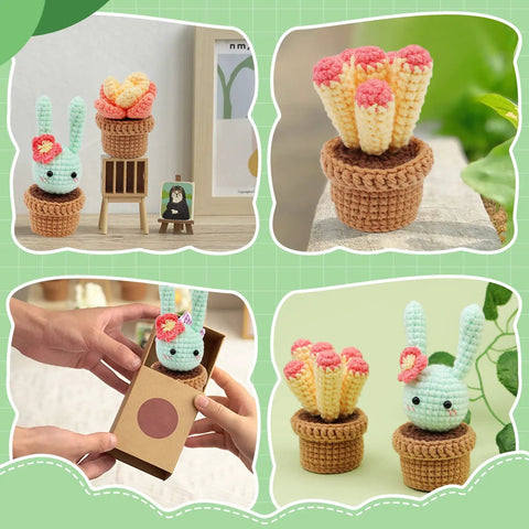 Plant Crochet Kit for Beginners with 6 Succulent Projects, Crochet Hooks, Yarn, Plastic Eyes, cute plant designs close-up