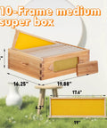 10 Frame Beehive Medium Super Box With Window For Easy Beekeeping Langstroth Style Bee Box Kit dimensions and wooden structure