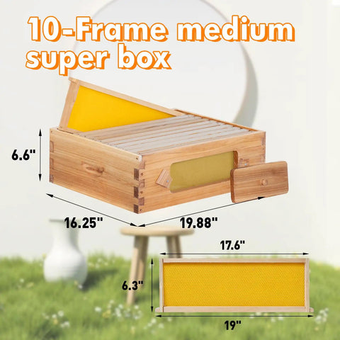 10 Frame Beehive Medium Super Box With Window For Easy Beekeeping Langstroth Style Bee Box Kit dimensions and wooden structure