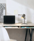 Workspace with 2 Light Desk Lamp Set in Matte Black With Matte Brass Accents, 19 Inch Sleek Modern Task Lamps on desk