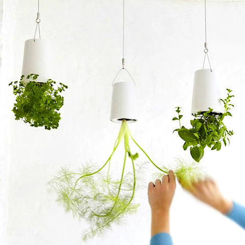 Person adjusting hanging plants secured with Eye Screws Set 581 Pcs Assorted Sizes in white pots