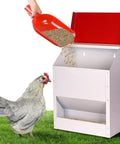 Heavy Duty Galvanized Wall Mount Chicken Feeder Designed To Kickstart Your Flock With A Secure Tilt Lid, shown dispensing grain.