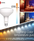Dimmable BR40 LED Flood Light Bulb 12W 75W Equivalent 2700K Soft White Glow Energy Saving Lamp for office and home