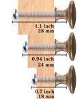 Brass Round Cabinet Knobs Set Antique Finish 20 Pack With Screws Kitchen, three screw sizes on wood display