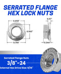 Tough As Nails Serrated Flange Nuts 3/8 Inch 24 Thread 18 8 Stainless Steel Hex Lock Hardware 25 Pack dimensions with clear markings.
