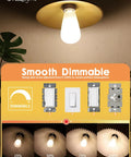 Pendant light with Dimmable 8W Edison LED Bulb 3000K Soft White, showing smooth dimming from 25% to 100% brightness.