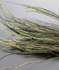 Natural Peacock Herl 400 Strands for Fly Tying Nymphs and Wet Streamers showcasing realistic color and lightweight texture.