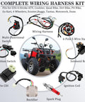 Complete Wiring Harness Kit For ATV Quad 50cc To 125cc 4 Stroke Engines All In One Electric Start Harness With Stator Coil