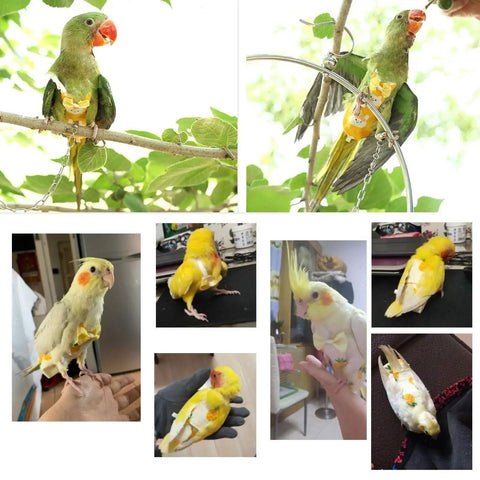 Collage of birds wearing Reusable Bird Diaper With Waterproof Inner Layer For Cockatiels And Parrots, Soft Cotton Diaper Set