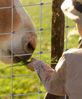 Child feeding horse through heavy duty cattle panels built tough for garden trellis and farm fence 4 ft by 100 ft galvanized welded wire.