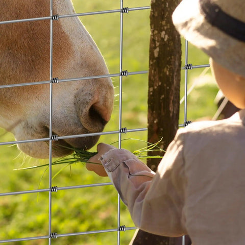 Child feeding horse through heavy duty cattle panels built tough for garden trellis and farm fence 4 ft by 100 ft galvanized welded wire.