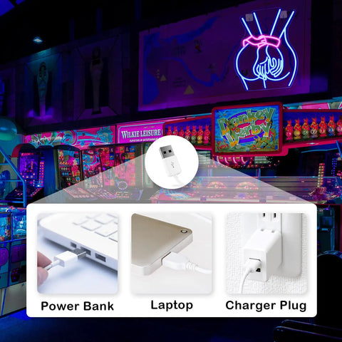 Sexy Woman Neon Sign Wall Light For Home Bar Bedroom Game Room Decor Neon Art, showing USB connections for charging options.