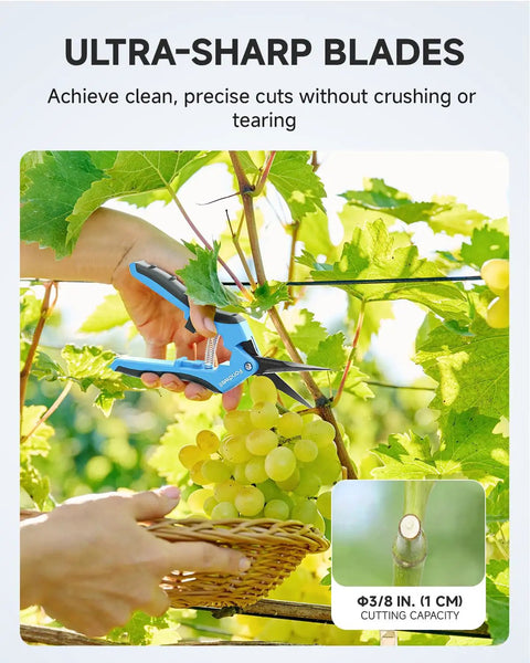 Person using 6.5 Inch Garden Trimming Scissors With Nonstick Sharp Blade to prune grapevines, ergonomic grip visible.