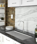 Modern kitchen with 14 x 19 Inch Workstation Undermount Kitchen Sink With Single Bowl, 16 Gauge Stainless Steel, Built-In Track Accessories.