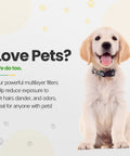 Golden retriever puppy next to text promoting air filters for reducing pet odors and allergens.