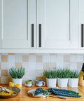 10 Pack 5 Inch Matte Black Cabinet Pulls for Cupboards and Drawers installed on white kitchen cabinets.