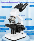 Adult Lab Microscope With 40X To 2000X Magnification Binocular Eyepieces WF10x And WF25x USB Camera labeling parts of microscope