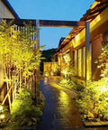 Illuminated garden path with PAR36 LED Landscape Bulbs 6W 700 Lumens Warm White 3000K Low Voltage 12V AC DC for Outdoor Tractor Lighting