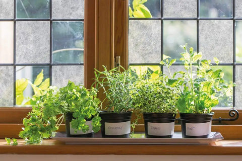 Privacy Window Film With Rice Paper Fog Pattern Self Adhesive Frosted Glass Overlay installed on window behind potted herbs
