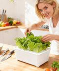 Woman using Six Hole Hydroponics Grow Box Kit For Indoor Outdoor Garden Soilless Cultivation System With Root Friendly Design