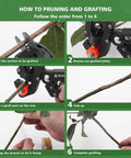 Step-by-step guide using All In One Garden Grafting Tool Kit For Fruit Trees Pruning Scissors Set With Grafting Knife Replacement Blades Tapes Plant Tags And Clips Omega Graft Seedling Grafting System