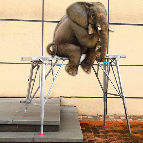 Slick Folding Scaffolding Deck With Quick Adjustable Height Settings For Drywall And RV Projects Rock Solid Work Platform with elephant.