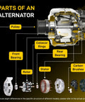 Diagram showing parts of a high output 150 Amp 12V alternator with CW 7 groove pulley, including rotor and bearings.