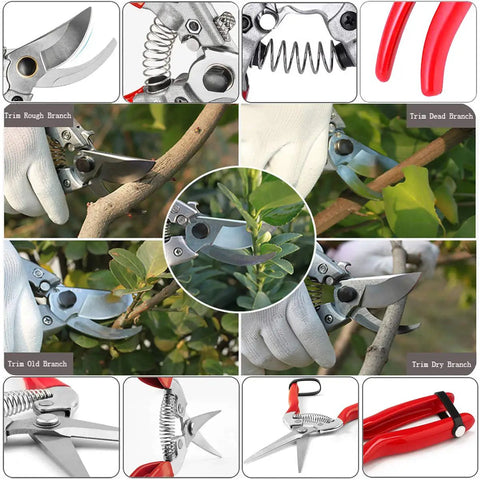 Collage featuring Workhorse Pruning Shears With Stainless SK5 Steel Blades Bypass Garden Shears on branches, close-ups of blades