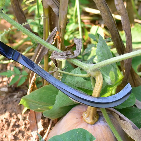 Two Piece Japanese Style Garden Sickle Set With Steel Hand Sickles cutting vine in garden, 3.7 inch blade, ergonomic handle visible.