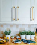 White kitchen cabinets with 10 Pack 5 Inch Brushed Brass Cabinet Handles Set Gold Kitchen Cabinet Pulls for Cupboards and Drawers Durable Hardware Sleek Modern Pulls for Easy Renovation and Installation.