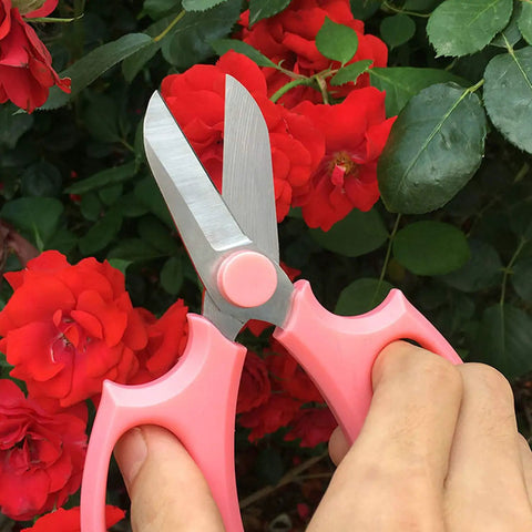 Pro Grade Garden Pruning Scissors With Comfort Grip Handle Set Razor Sharp SK5 Stainless Steel Floral Scissors close-up on red roses