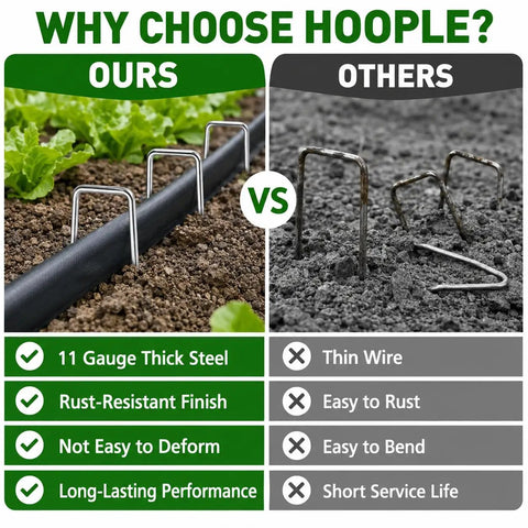 Comparison of heavy duty 6 inch 11 gauge galvanized landscape staples for securing weed barrier fabric and standard staples.