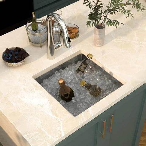 Undermount Kitchen Sink 23x18 Inch Stainless Steel 16 Gauge Single Bowl 10 Inch Deep T304 with ice and bottles