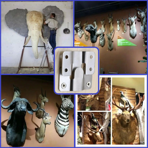 Built Like A Tank French Cleat Picture Hanging Kit With Six Stainless Steel Wall Mount Brackets And Anchors For Zero Sweat Art Gallery Displays And Outdoor Bird Feeders Setup on animal mounts.