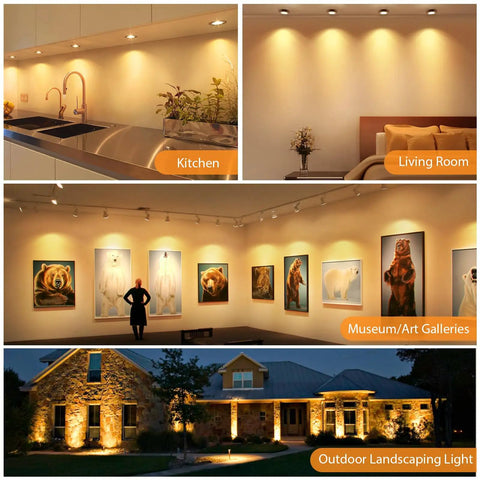 12 Pack MR16 LED Spotlight Bulbs Featuring GU5.3 Bi Pin Base 5 Watt 12 Volt Low Voltage Output 2700K Cozy Warm White Light illuminating kitchen, living room, art gallery, and outdoor landscapes.