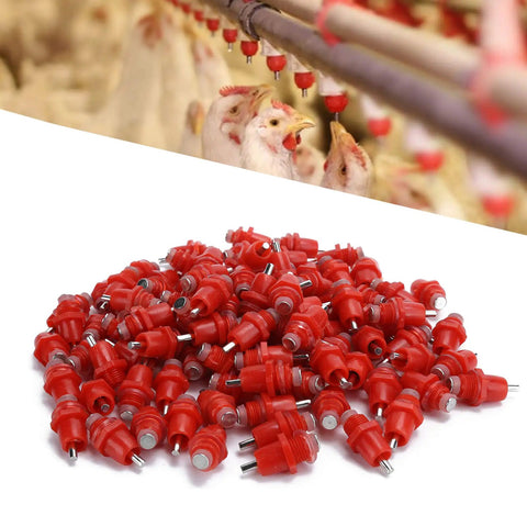 Real Deal 100 Pack Stainless Steel Poultry Water Nipplers With Heavy Duty Screw Mount Base For Backyard Chickens And Farm Flock, red nipples in use.