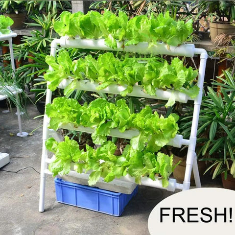 High-Yield Hydroponics Growing System Kit With 36 Plant Sites And Automated Watering displaying lush green lettuce