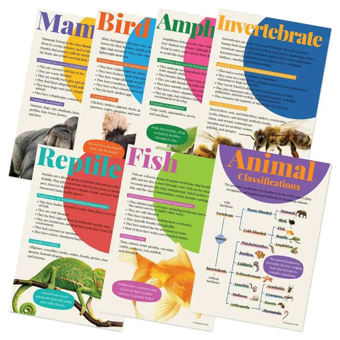 7 Poster Animal Groups Set For Science Classroom Learning Mammals Birds Amphibians Invertebrates Reptiles Fish And Biological Kingdom Classification 12 By 18 Inches Made In USA Perfect K12 Kid Friendly Teacher Decor