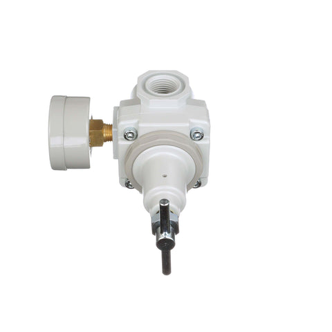 SAR400T-N04BG 1/2 Inch NPT Compressed Air Regulator With T Handle, Gauge And Bracket, Relieving Knob Control, 0-150 PSI
