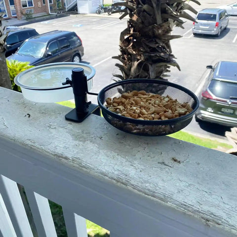 Image of Two Pack Plastic Round Bird Feeder Bowls For Wild Birds Seed Tray And Water Bowl At Feeding Stations Easy To Clean Clear Water Visibility Attract Birds installed on a balcony railing