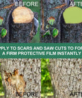 DIY Friendly Tree Pruning Sealer Paste With Brush, 100g Wound Repair Sealer For Trees, grafting seal for tree cuts