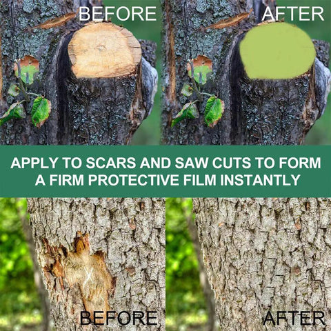 DIY Friendly Tree Pruning Sealer Paste With Brush, 100g Wound Repair Sealer For Trees, grafting seal for tree cuts