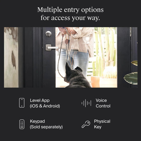 Worlds Smallest Smart Lock With Built In Matter And Bluetooth Hiding Tech Inside Your Door For Sleek Security showing entry options