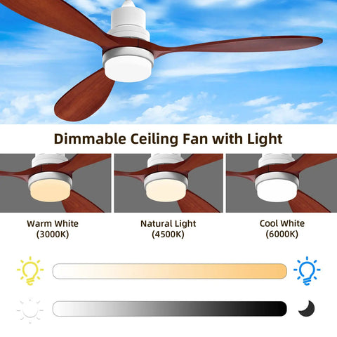 52 Inch Ceiling Fan With Lights Remote Control Quiet Reversible DC Motor Outdoor Patio Fan with dimmable settings