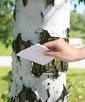 Hand holding Two Pack Adhesive Spreader Trowel With Three Sixteenth Inch Notch For Epoxy Projects near a birch tree