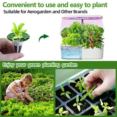 101 Piece Hydroponic Pods Kit For Indoor Gardens With Seed Pods Grow Sponges Labels Baskets Domes Plant Tags And Tweezers Fits Most Planting Systems For Easy No Fuss Home Hydroponic Gardening showcasing growth stages