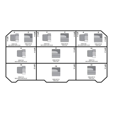 Diagram of All-In-One Heavy Duty Hydraulic Fittings And Adapter Kit With 101 Adapters And 150 O Rings For NPT Threads in case
